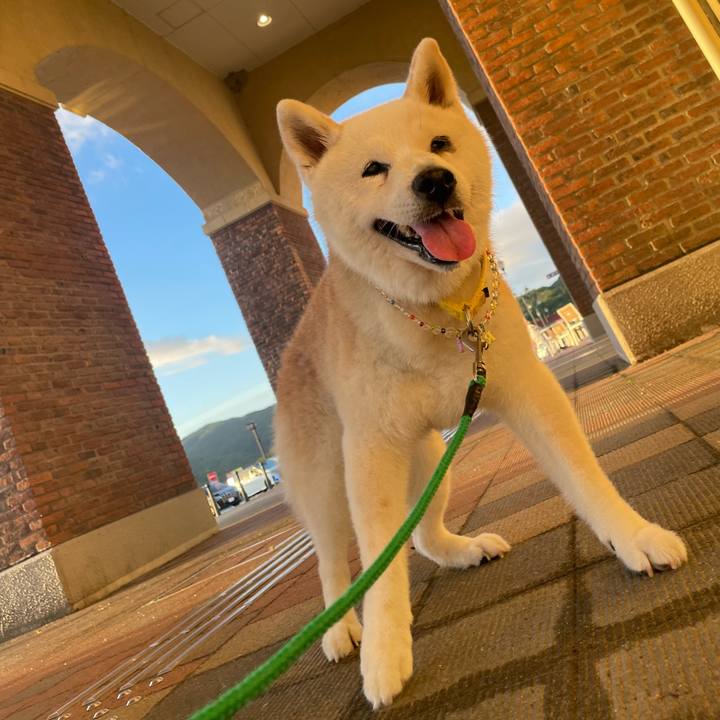 82704154 b584 4765 be11 619e93ebdbe7 1753086225698