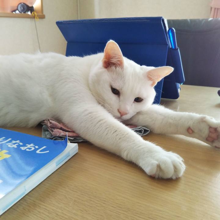 82708779 788e 475a 8f16 ba5b55468903 1536799777190