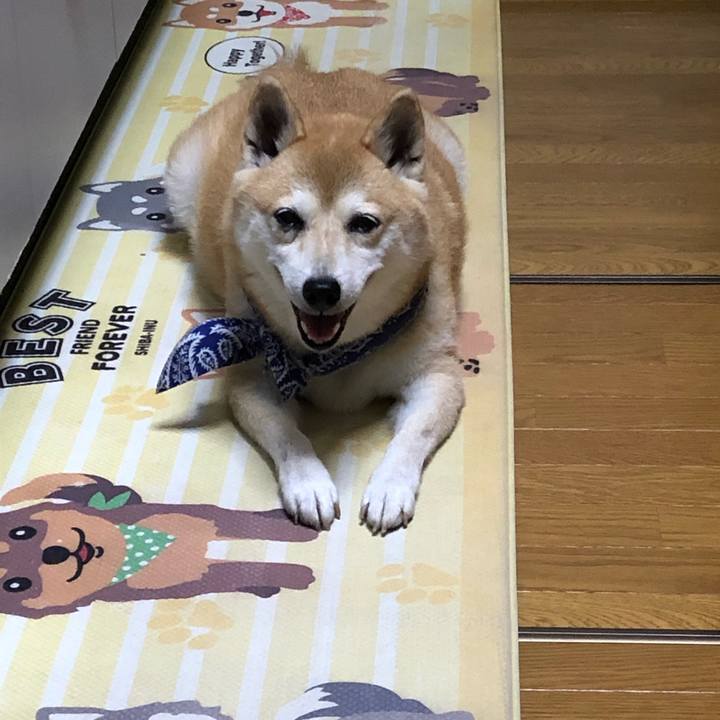 8270a3ba 9e50 4735 a8fc 74135dcf4a30 1598357385778