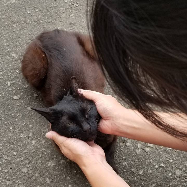 8270a880 b138 4988 90f3 734fa9081424 1691934925101