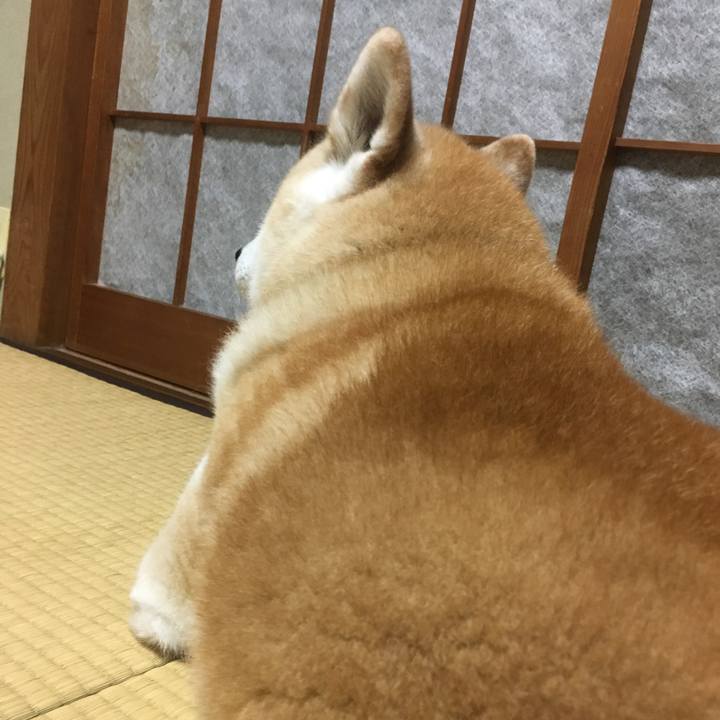 8270b1c8 12c3 4268 970f 79e6aa1f8a67 1530532098397