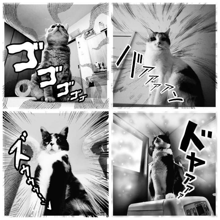 8270baf5 df92 453e 9c5b 3ca6f83e581c 1637850847029