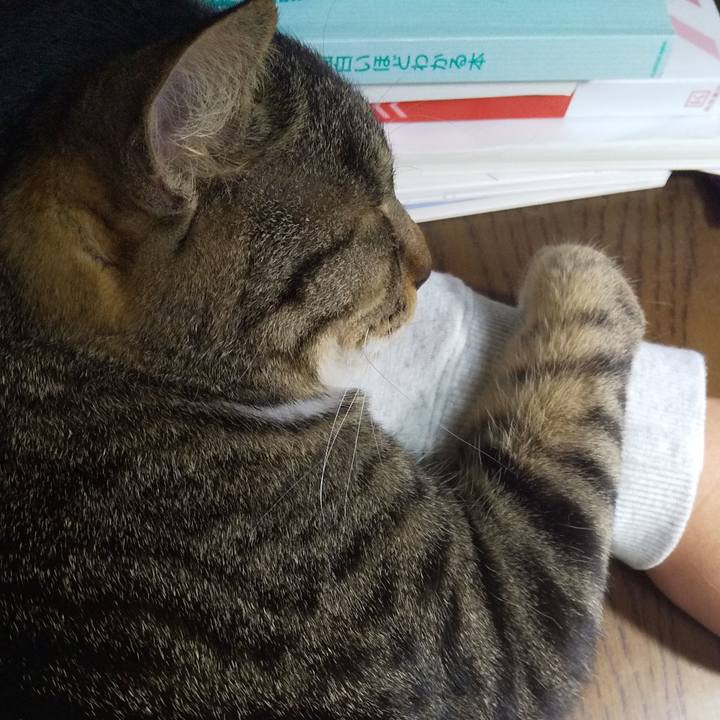 8270c410 fd80 4e58 bd36 5c5b5199f1e3 1654701157661