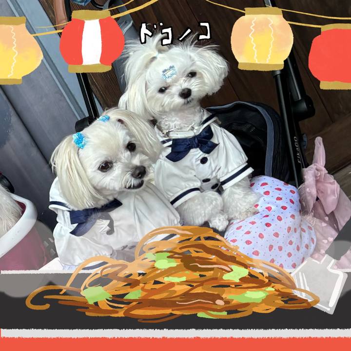 8270cabc 7fec 4402 8e98 615028aee55e 1755086029013