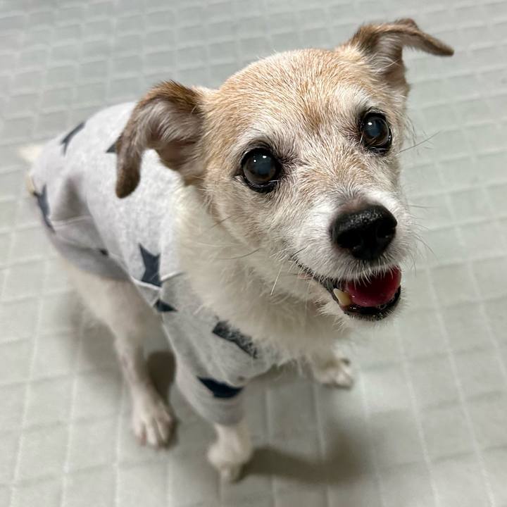 8270e68d e4cb 45a8 9458 11cf99784e3c 1733311504049