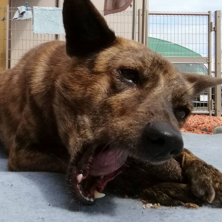 8270ede0 f7ab 4a81 8433 5ada869683fb 1537162098050