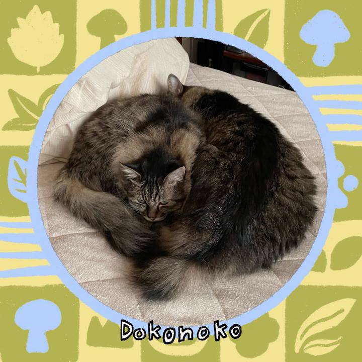 8270faa7 71a7 4cde 8dcf f502acb0ffad 1761724105484