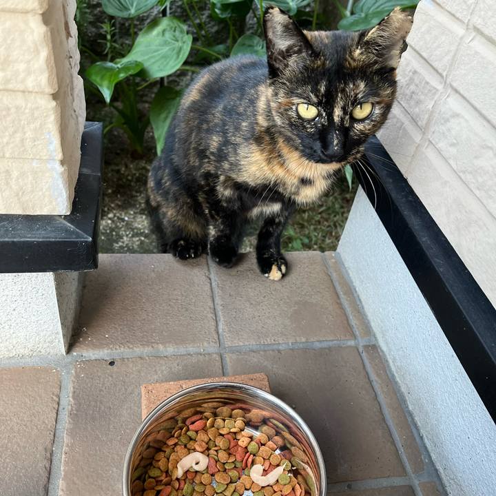 82712218 29a9 4d64 b856 9f629f805cd1 1729406684752