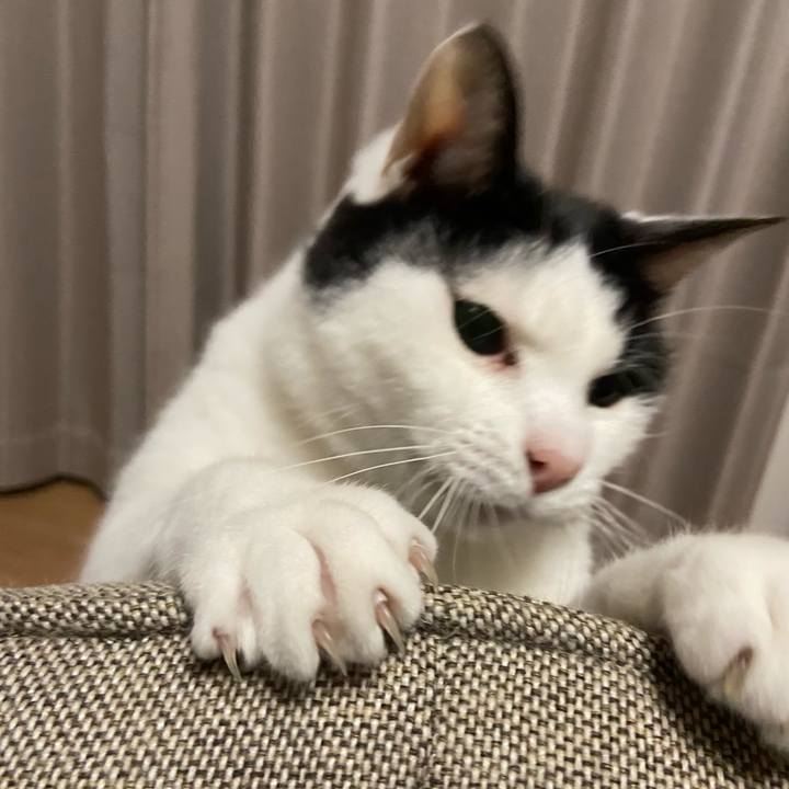 82714168 1387 4728 b390 7a1c76dbdf6f 1587556503035