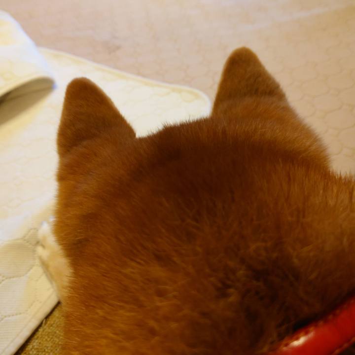 82715cdb 80f8 4e17 be6a 001ffb5180d6 1765779008705