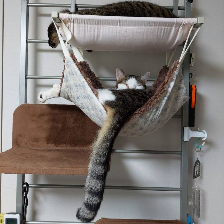 8271913d aebd 45ef bc23 d8f662f599b5 1696369258301