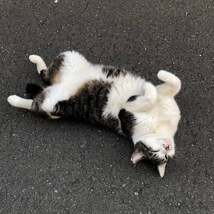 8271a55d 2377 4803 bdae 9cc875bc8b83 1529831918689