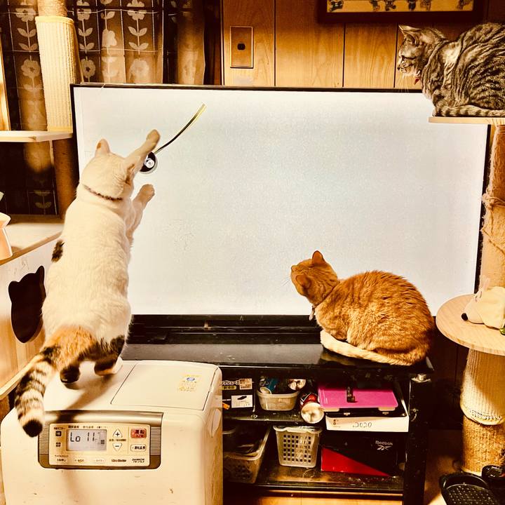 8271ea19 1f90 45e7 85f3 49dab5ba93b0 1769582949063