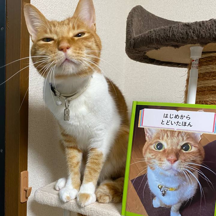 8271f56b 499c 4895 ab42 624388542af5 1625131608989