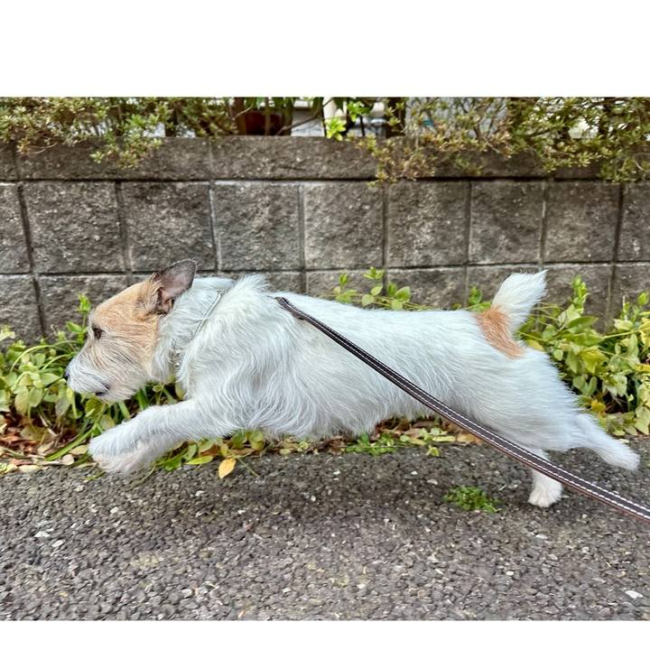 8271f5ef fe8c 4895 a002 1f3c6dfd6fe4 1743475948418