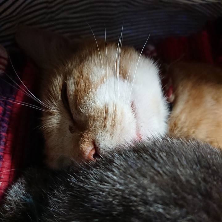 8271fac2 9bda 4bbc 92fb 0fb7e7f8ee1c 1562484377571