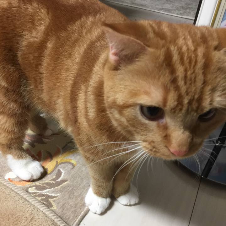 82720790 fcc1 46a4 81f7 9969ba7d5c80 1509540413286