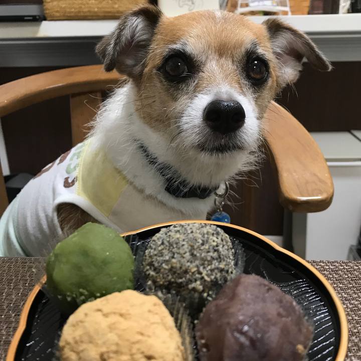 82721b6e 08f6 4474 b443 f49751193313 1569235535422