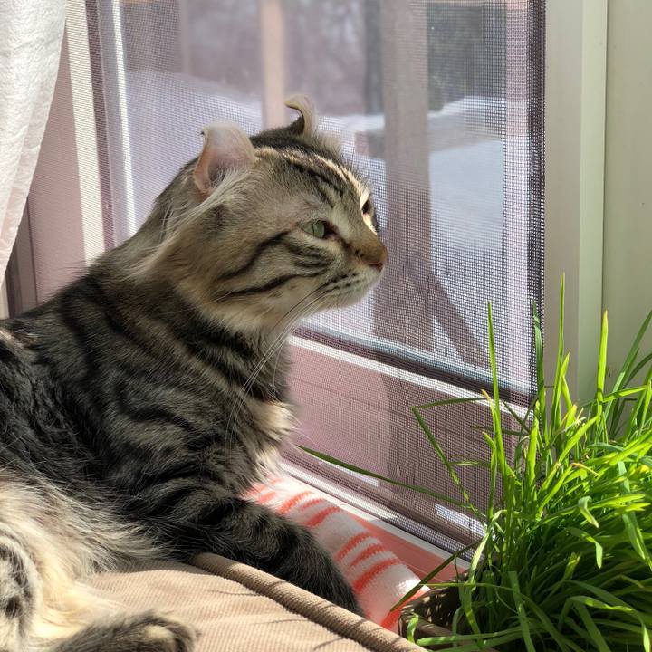 82721d88 3248 4239 a12e 555d89ab6e72 1520997375137