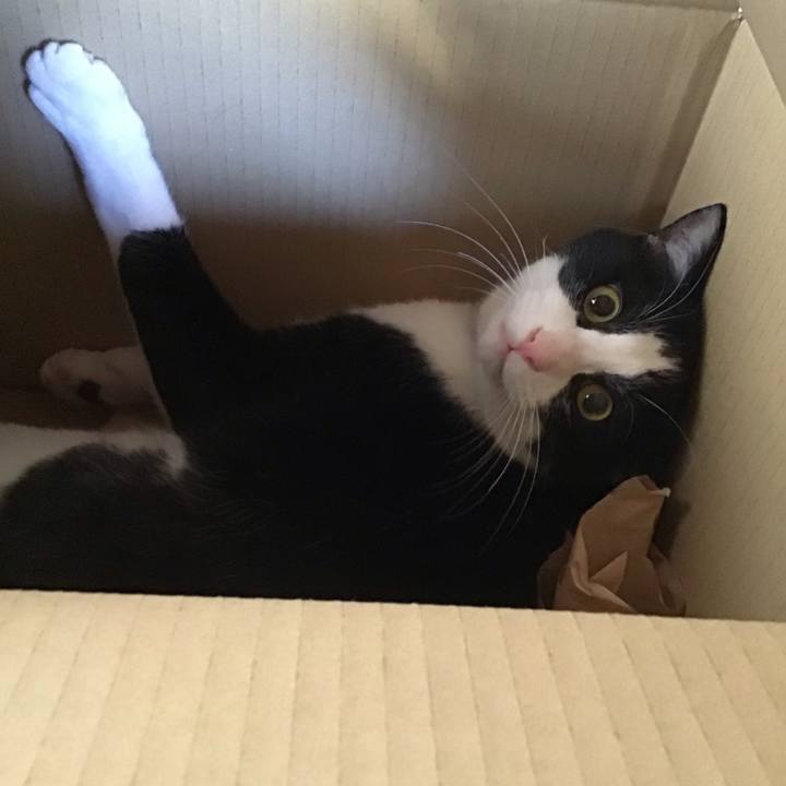 82721ded 7f88 43da 82c2 efc72c444b6c 1678525251574