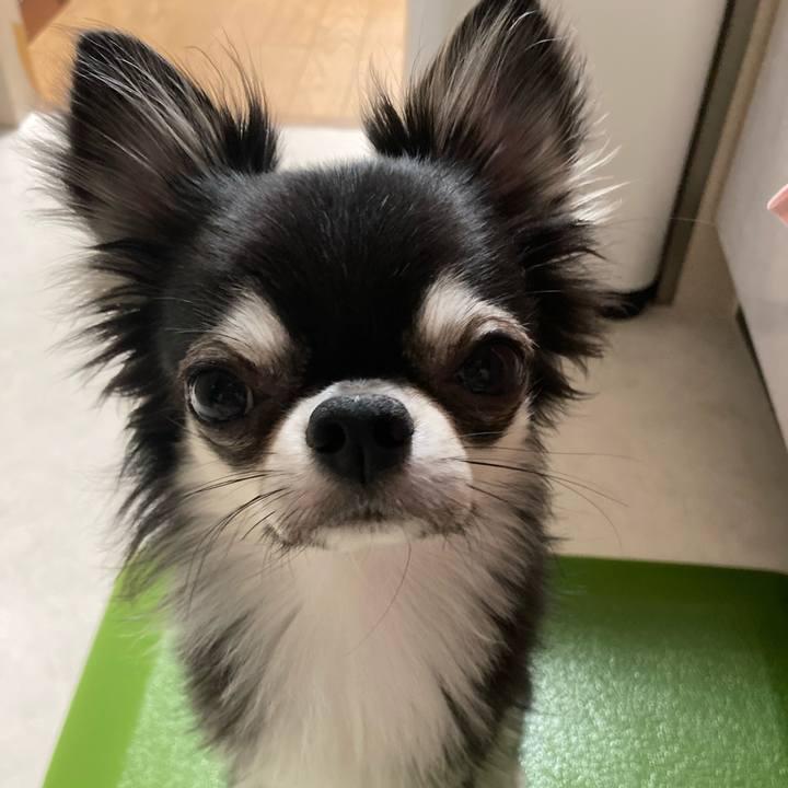 82721fee 0e19 4c26 b7a3 a3719cf25079 1632664562729