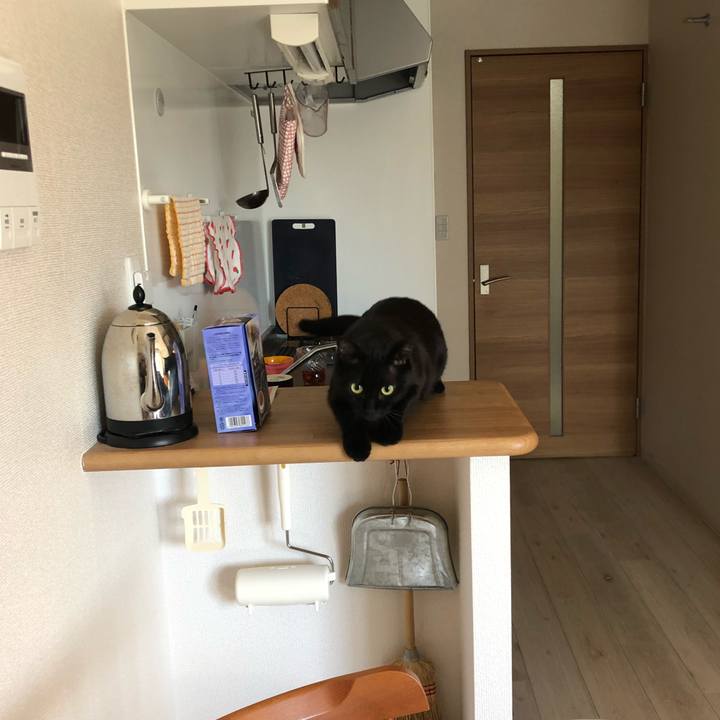 8272484d 5702 420f 8952 7c058a70d033 1520164655876