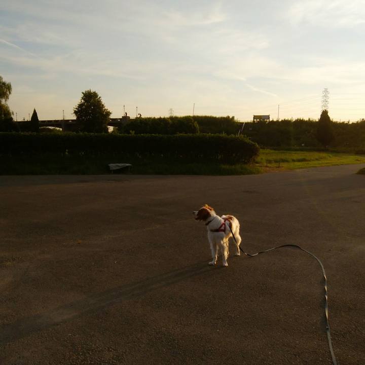 82725544 ce3e 4c7c ad37 9b50ff156f07 1535629244793