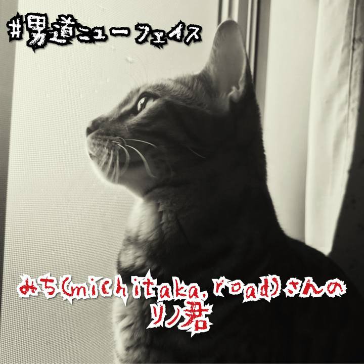 8272bab8 1bed 4846 98de e199f03b2203 1567172193647