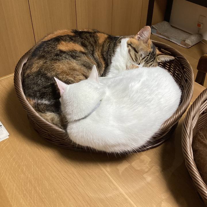 8272d1a6 b345 4aa9 9ed4 6c1c98a3bf3e 1730594406211