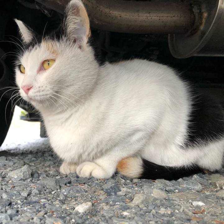 82731721 59e4 4063 9c5b 6d3298d67fa4 1603232086836