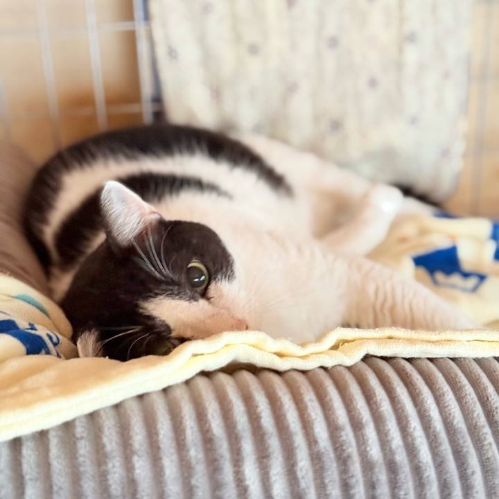 82736e02 95b2 4588 9552 bfa976bea7a7 1730597789859