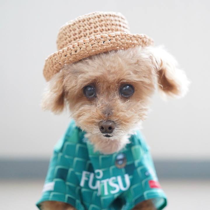 827371e5 1ecd 42c7 b939 5e1626805194 1660170431098