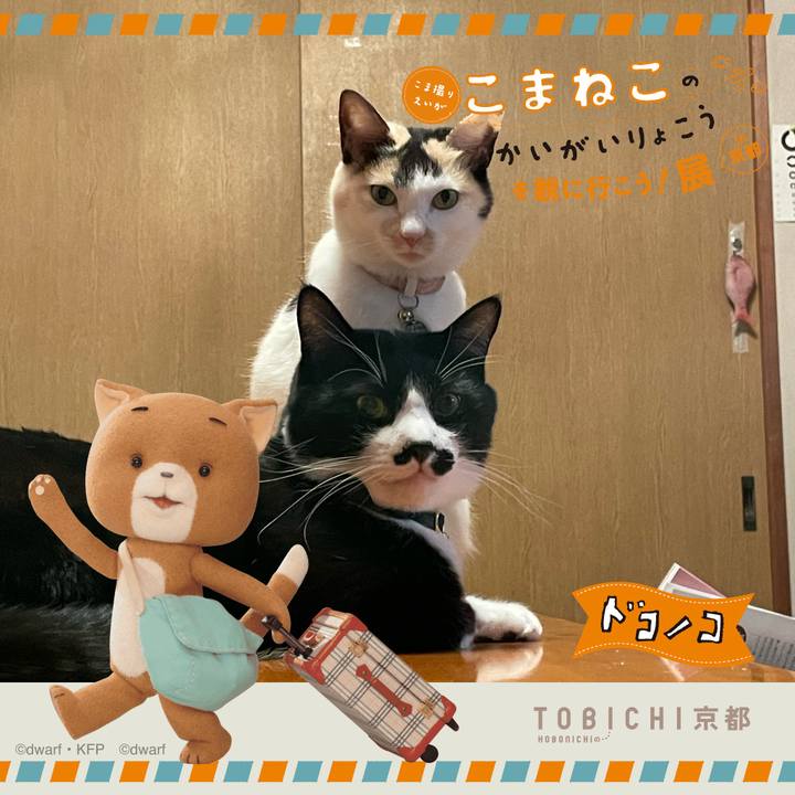 8273910c d8a9 432f af35 52986e54f8ca 1740106679629