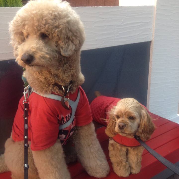 8273d756 b084 481d 9c85 ef6de8533546 1520061116010