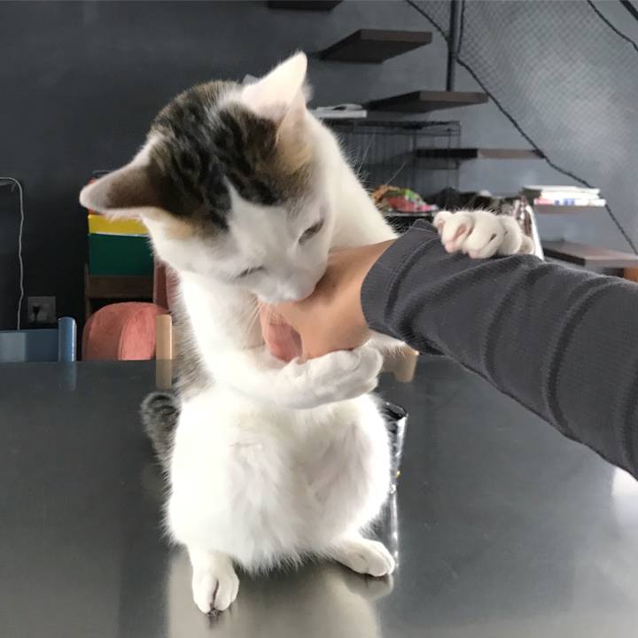 82744470 5f58 4a18 b9eb 76aa9c5b1a05 1510709182164