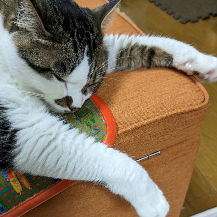 827460b6 47ca 45e2 97b1 d7492ebca703 1685012667895