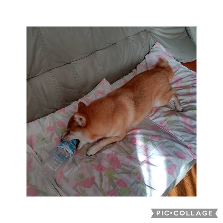 82747ecd 4599 4683 acdd 5eb0fb416a14 1728520172284