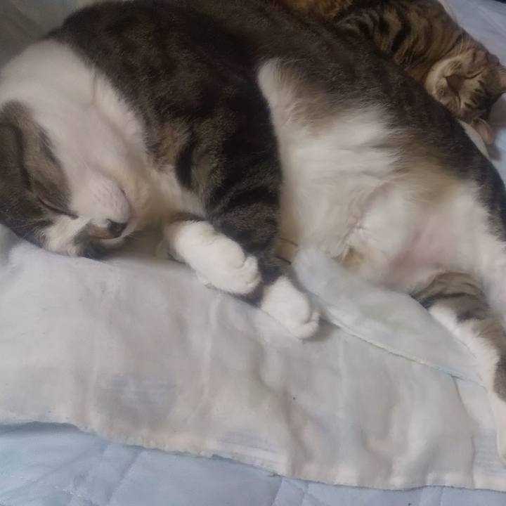 82748b37 510d 4ccf a73c 3c5322b8ffd0 1690987712438