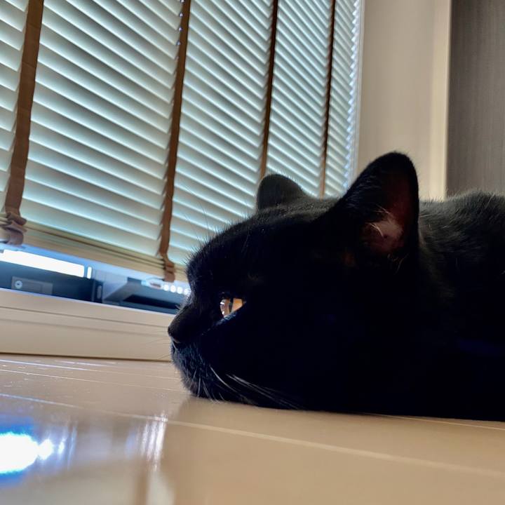 8274b83b 6de4 4de6 8e17 bacf47fec1b9 1599532216476