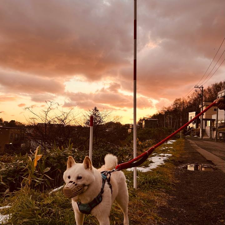 8274e77f 9f81 474b 89cc 4e8866392735 1732313158207