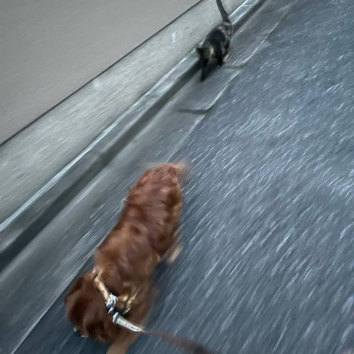 8274f42c 58a7 42ec b5a4 16d0d1c6df30 1749853837984