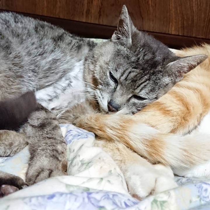 82752bcf 89f7 46cd bc47 c6716a7225bc 1590239123743