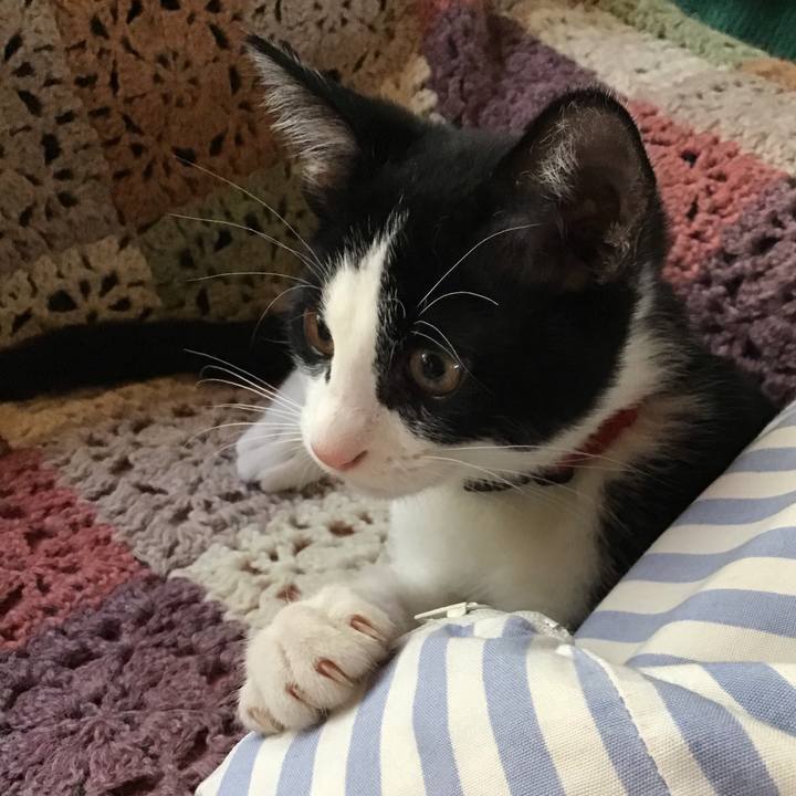 8275408a f334 41b1 bd77 6a7fdb9dd9a2 1627189565659