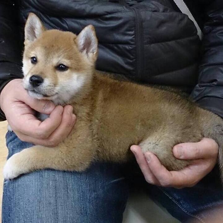 827563e6 fdc0 4c9b 870e b6f54b81aa22 1604210079051