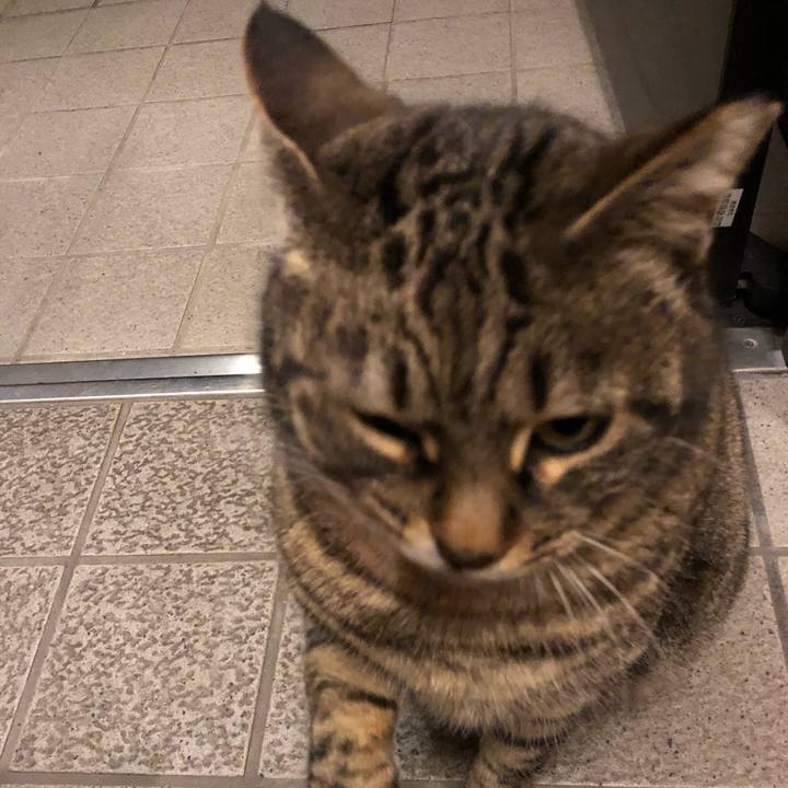 82756917 d33e 44cf 98d1 ee407899aa5f 1519474768835