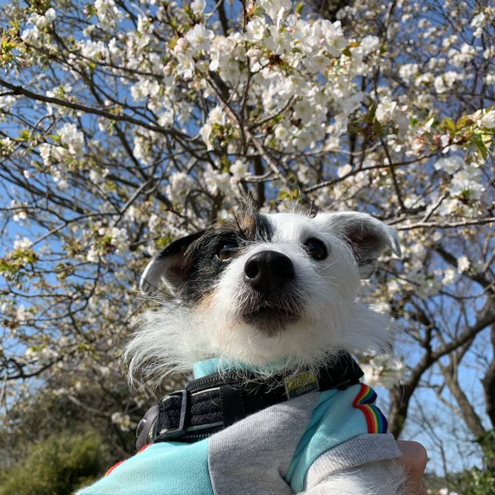 82758088 783b 4d04 8c2d 76b2d4d5752f 1711845410359