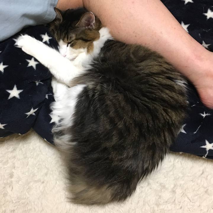 82759572 1e64 4570 b6e2 f82d23a74529 1516860792913