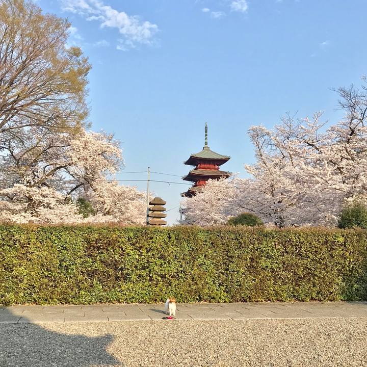 8275ab51 d7d4 422f ba38 a6f1f9ecef33 1522322245688