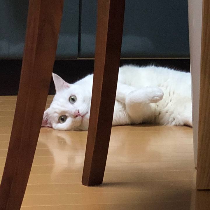 8275b63e 7ed5 43a7 893b ef9079fe4a7d 1534775636184