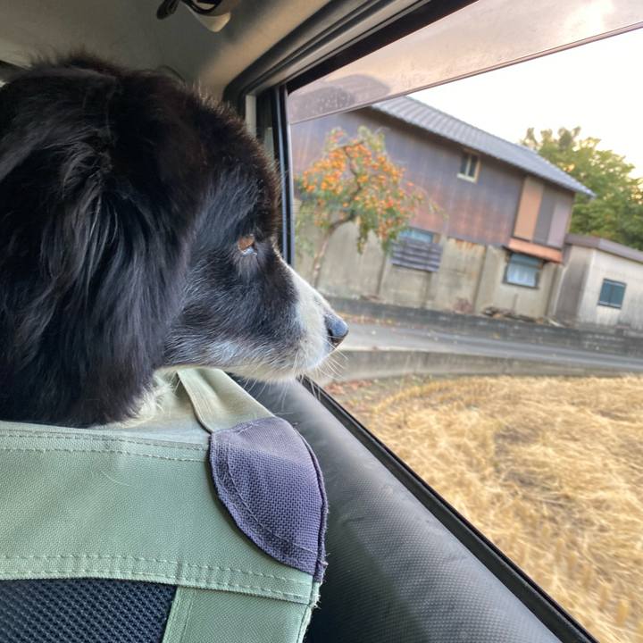 8275bc34 9a80 4b28 ad7f 41b14bb3c636 1666044286931